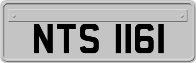 NTS1161