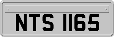 NTS1165