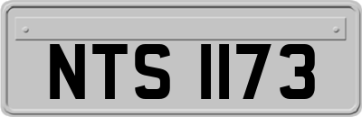 NTS1173