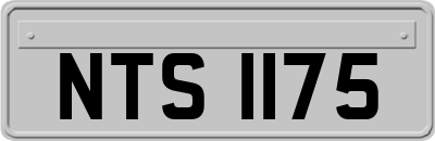 NTS1175