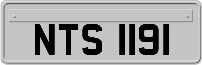 NTS1191