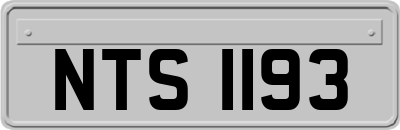 NTS1193