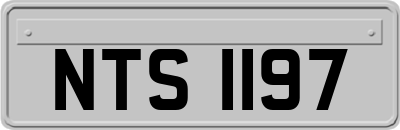 NTS1197