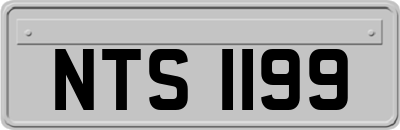 NTS1199