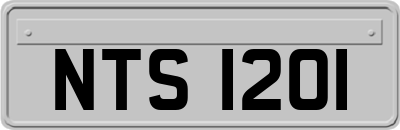 NTS1201