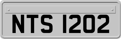 NTS1202