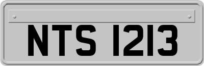 NTS1213