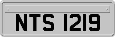 NTS1219