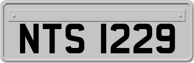 NTS1229