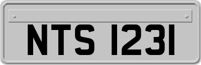 NTS1231