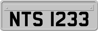 NTS1233