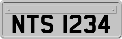 NTS1234