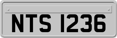 NTS1236
