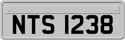 NTS1238