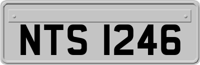 NTS1246