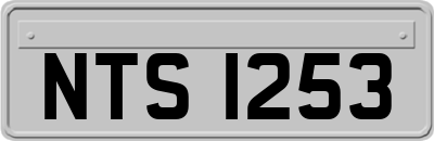 NTS1253