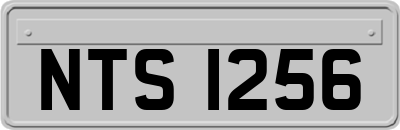 NTS1256