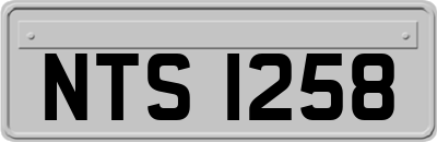 NTS1258