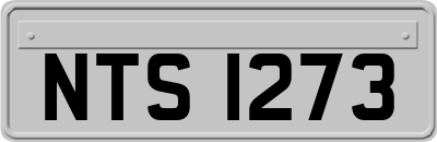 NTS1273