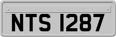 NTS1287