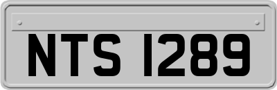 NTS1289