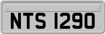 NTS1290