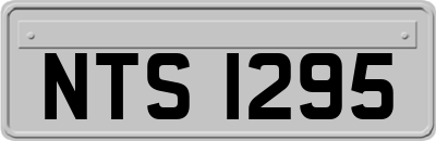 NTS1295