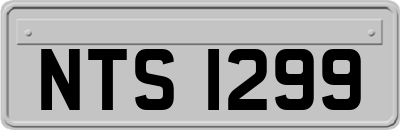 NTS1299
