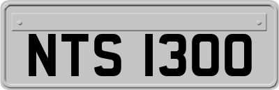NTS1300