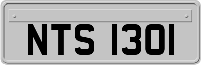 NTS1301