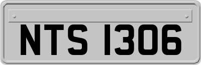 NTS1306