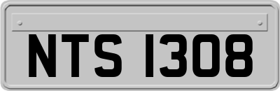 NTS1308