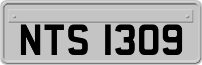 NTS1309