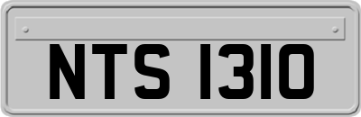 NTS1310