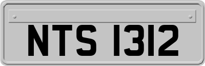 NTS1312