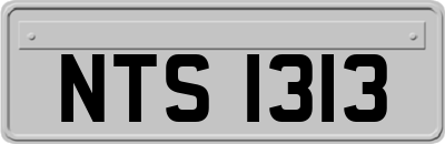 NTS1313