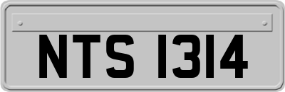 NTS1314