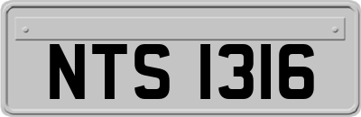 NTS1316