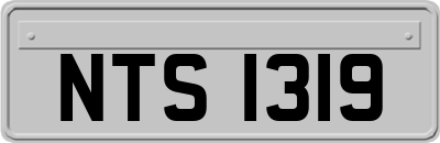 NTS1319