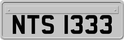 NTS1333