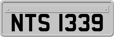 NTS1339