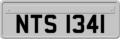 NTS1341