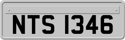 NTS1346