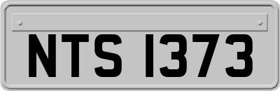 NTS1373