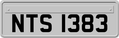 NTS1383