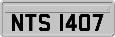 NTS1407