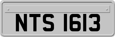 NTS1613