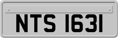 NTS1631