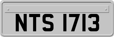 NTS1713