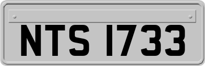 NTS1733
